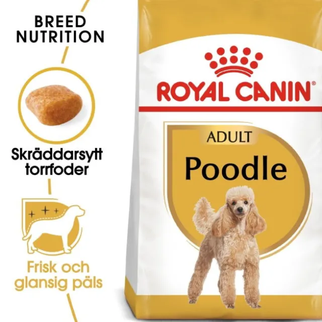 Royal Canin Poodle Adult torrfoder för hund