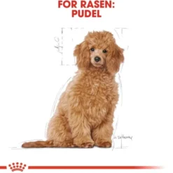 Royal Canin Poodle Puppy torrfoder för hundvalp