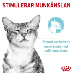 Royal Canin Sensory Feel Gravy Adult våtfoder för katt 12x85 g