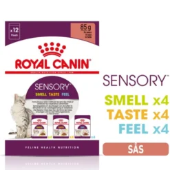 Royal Canin Sensory Mixed Box Gravy Adult våtfoder för katt 12x85 g