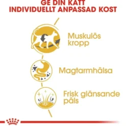 Royal Canin Siamese Adult torrfoder för katt