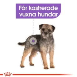 Royal Canin Sterilised Mini Adult torrfoder för hund
