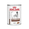 Royal Canin Veterinary Diets Dog Gastrointestinal Loaf 12x400 g