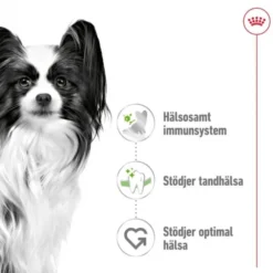 Royal Canin X-Small Adult torrfoder för hund