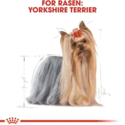 Royal Canin Yorkshire Terrier Adult torrfoder för hund
