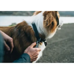 Ruffwear Ridgeline Hundkoppel Svart