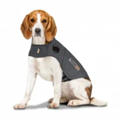 Thundershirt till Hund