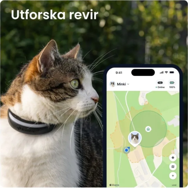 Tractive Cat 6 Mini GPS till Katt