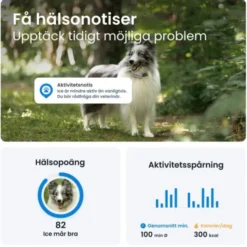 Tractive Dog 6 GPS Hund Brun