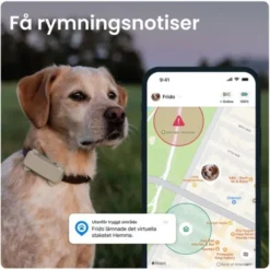 Tractive Dog 6 GPS Hund Brun