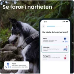 Tractive Dog 6 GPS Hund Svart