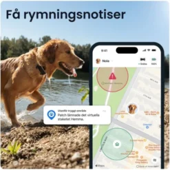 Tractive Dog 6 XL GPS till Hund