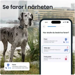 Tractive Dog 6 XL GPS till Hund