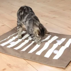Trixie Katt Aktivitetsmatta