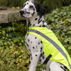 Trixie Reflextäcke till Hund Gul