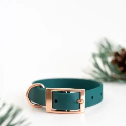 Tyylivoitto Classy Hundhalsband för Små Hundar Smaragdgrön