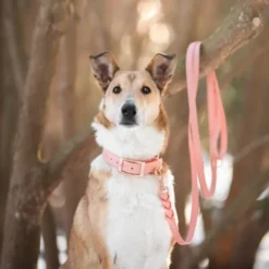 Tyylivoitto Classy Hundhalsband Persika