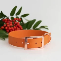 Tyylivoitto Classy Hundhalsband Orange