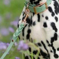 Tyylivoitto Classy Hundkoppel Flätat Ljusgrön 200 cm