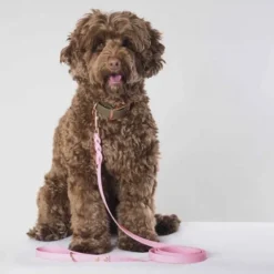 Tyylivoitto Hundkoppel Flätat Rosa 200 cm