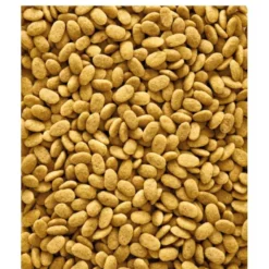 Versele-Laga NutriBird P15 Original Papegojpellets 1 kg