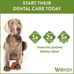 Whimzees Krokodil Medium 12-pack